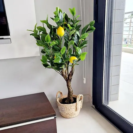 Infinity View Luxury Beachfront Pool&jacuzzi * Arenales del Sol